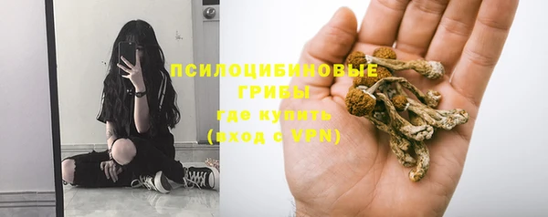 сатива Белоозёрский