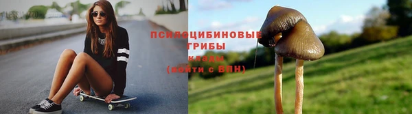 кокс Белокуриха