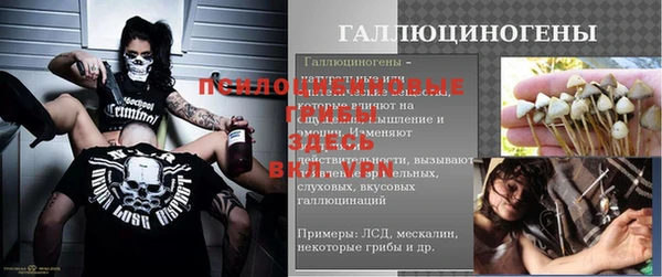 сатива Белоозёрский