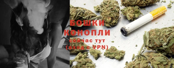 не бодяженный Беломорск