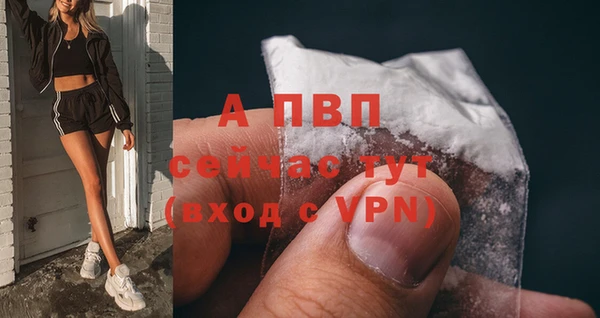 сатива Белоозёрский