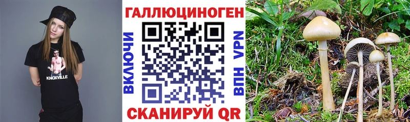 магазин  наркотиков  Городовиковск  kraken ССЫЛКА  Галлюциногенные грибы ЛСД 