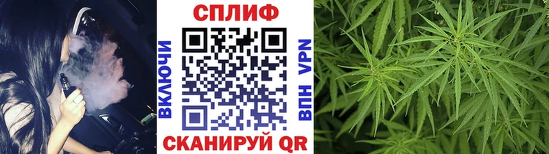 Конопля VHQ что такое Городовиковск